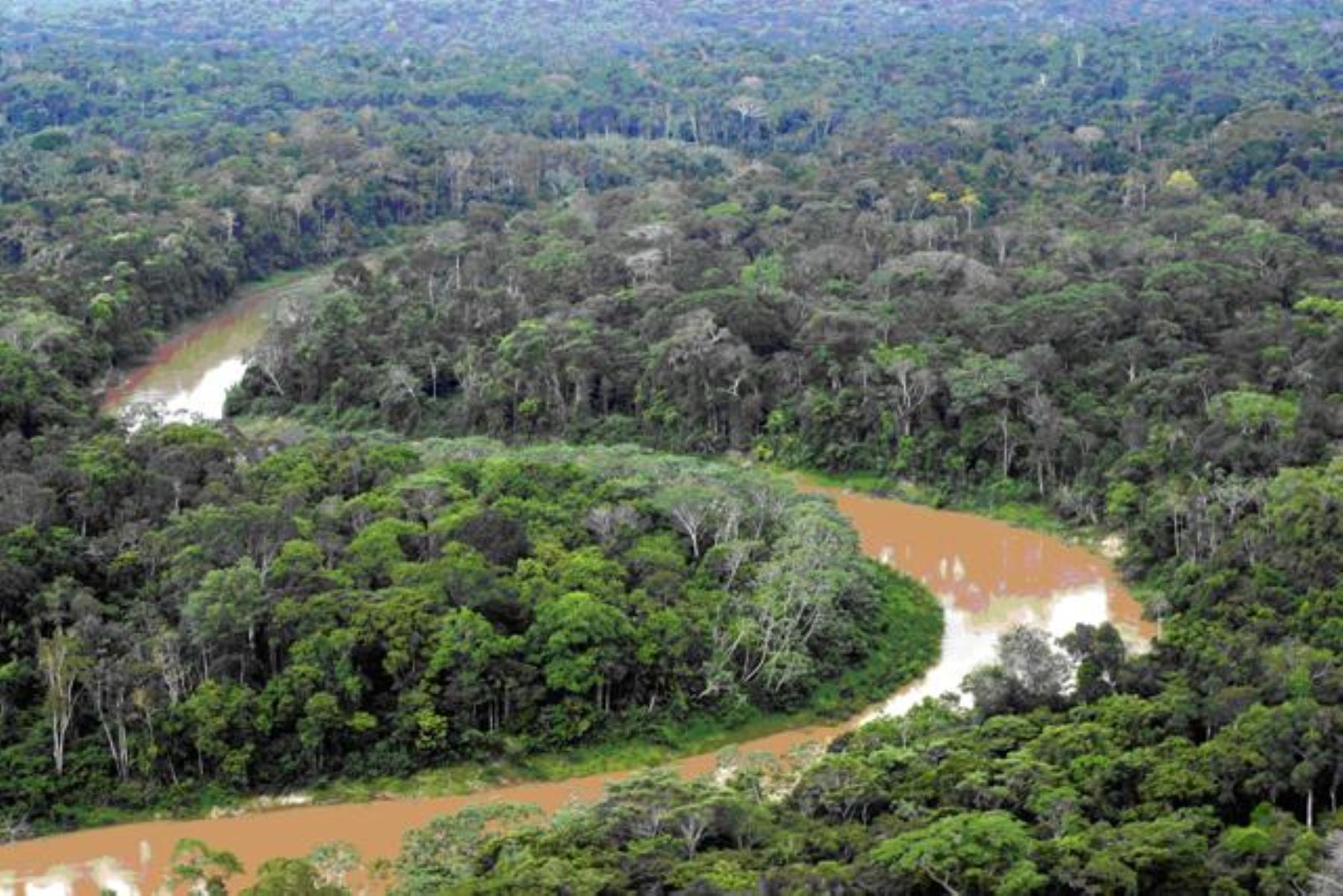 Reserva Nacional de Matsés, ubicada en los distritos de Yaquerana, Requena y Soplín, provincia de Requena (Loreto). Foto: Minam.