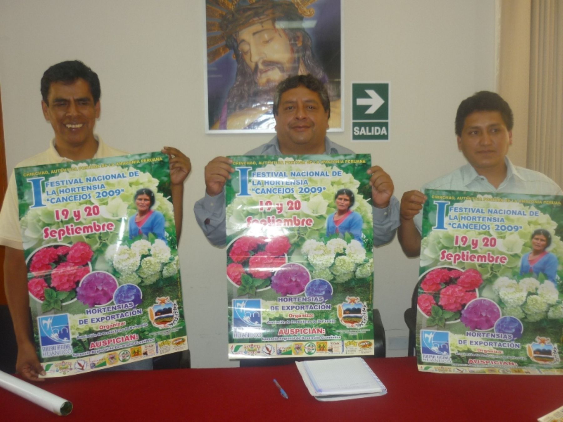 Productores huanuqueños exportan 25 mil tallos de hortensia semanales a  Europa y EEUU | Noticias | Agencia Peruana de Noticias Andina