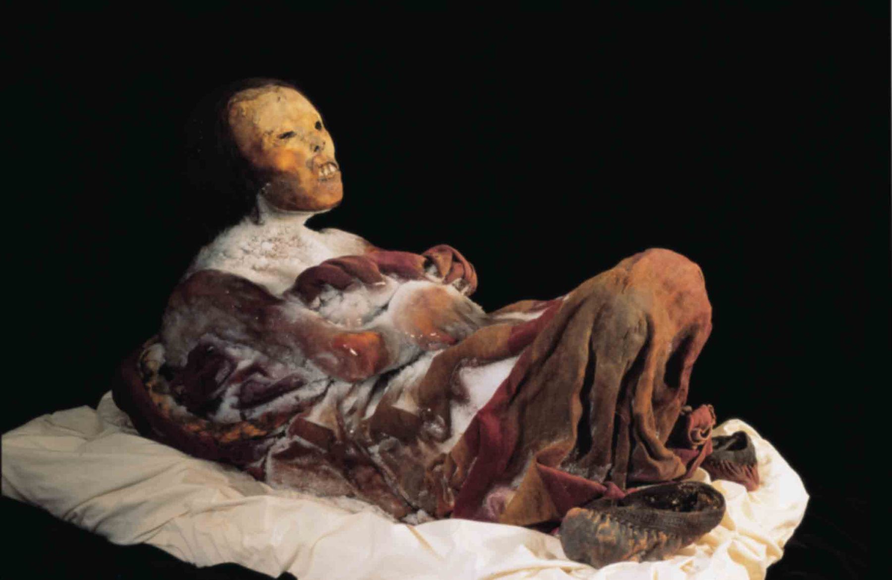 El ingreso gratuito al Museo Santuarios Andinos, que alberga a la “La Dama del Ampato”, conocida también como la momia “Juanita”, provocó en la población arequipeña gran expectativa. ANDINA/archivo