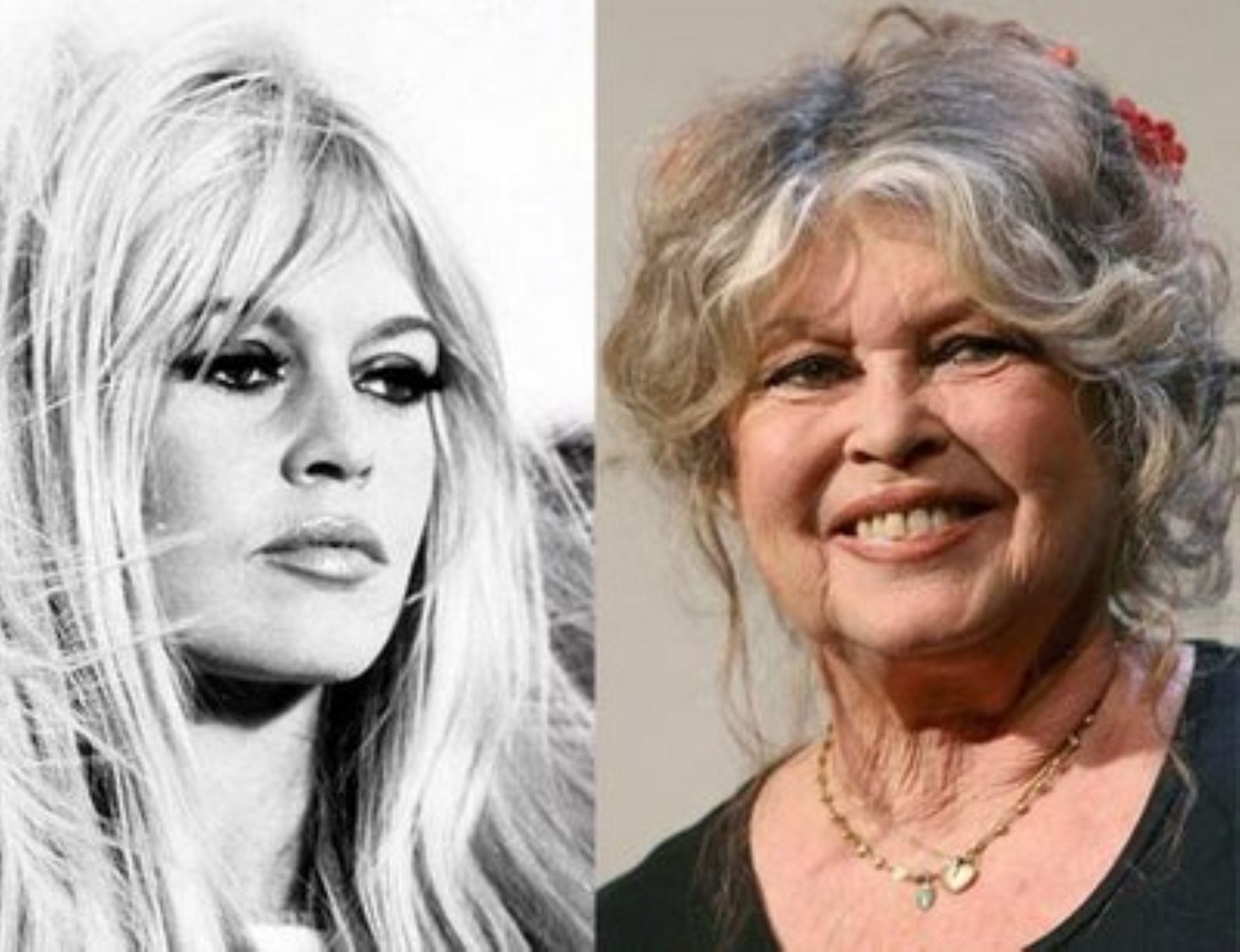 Totalmente alejada de las luces y ahora aquejada por artritis, el mito de los 50, Brigitte Bardot cumple 75 años. Paris le rinde homenaje.