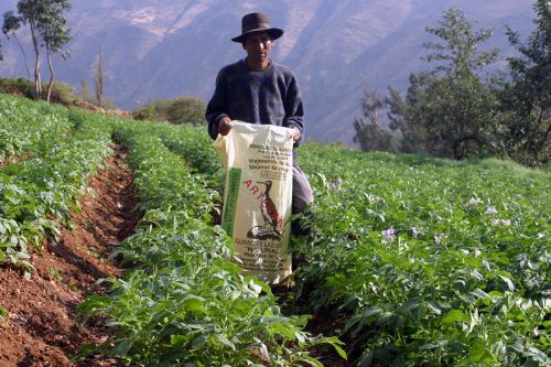 Guano de isla para la agricultura. ANDINA/Difusión