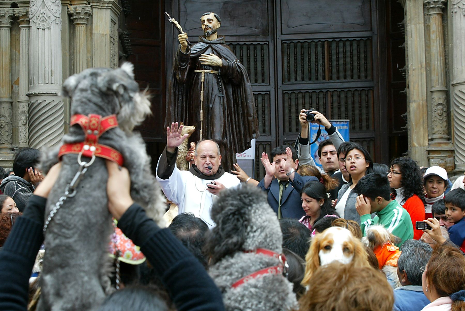 Tradición franciscana: conoce las iglesias donde bendecirán a las mascotas