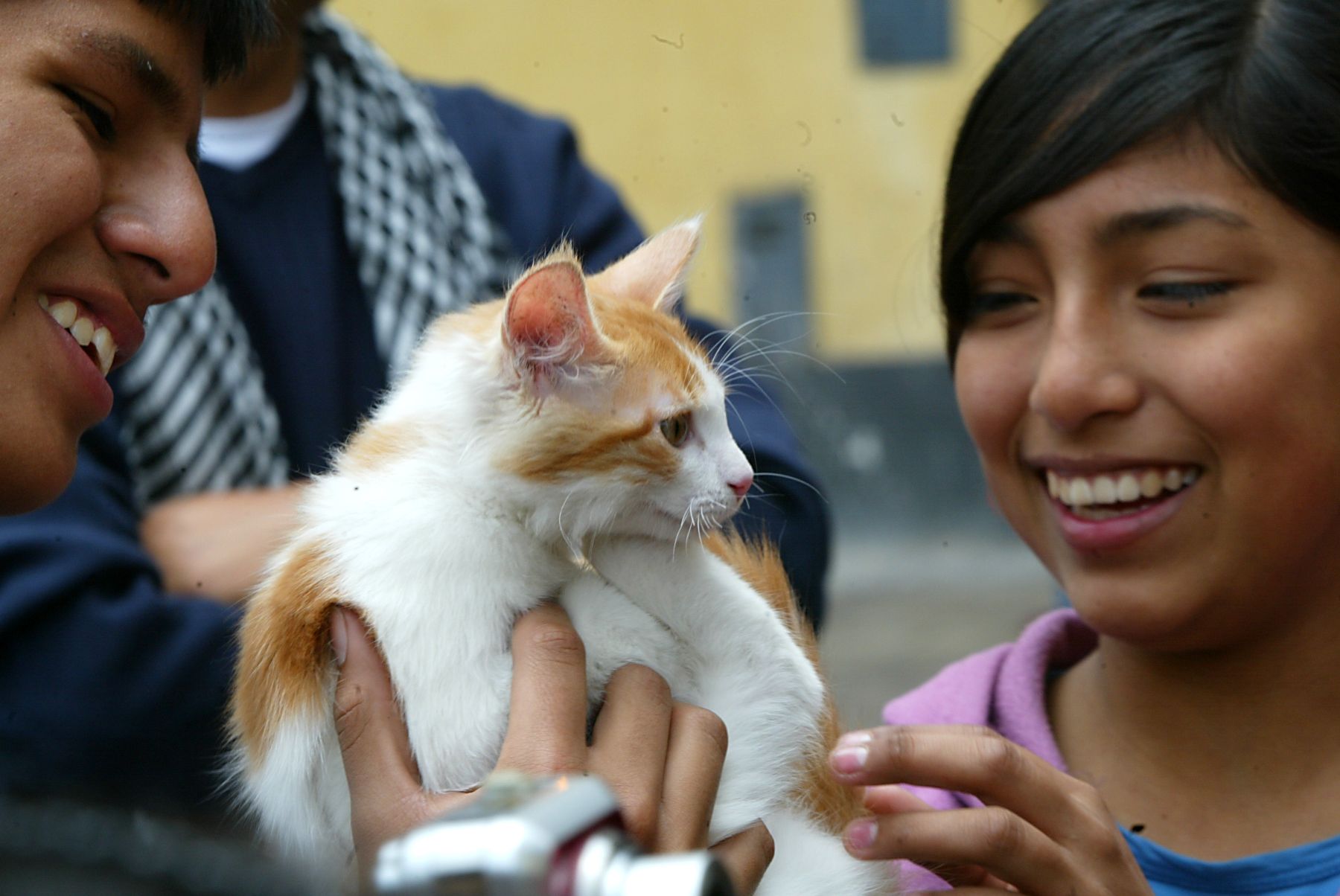 El bienestar de los animales de compañía es una responsabilidad y por ello es importante considerar ciertos cuidados. Foto: ANDINA/Ruben Grandez