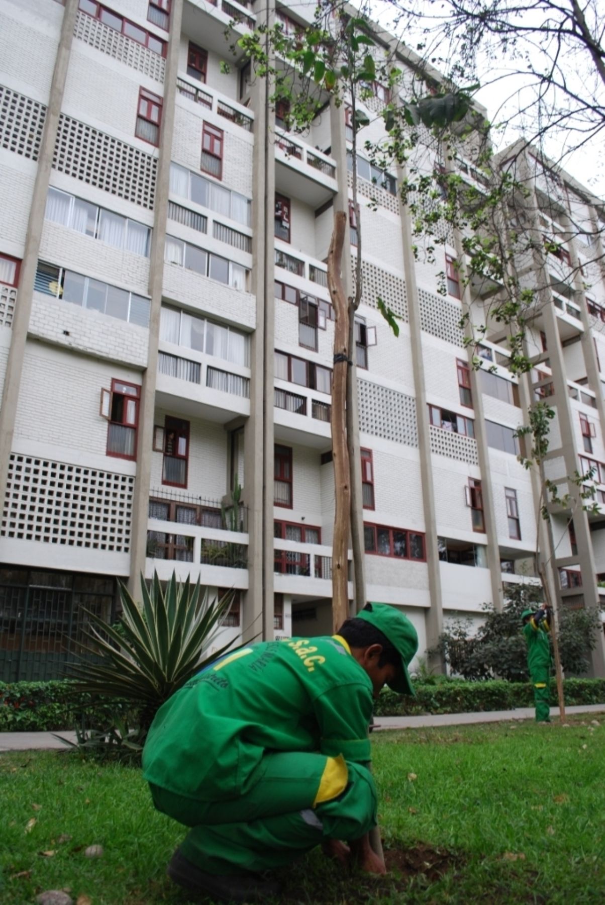 Mejoran áreas verdes en Jesús María