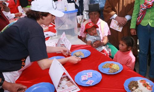 Advierten que anemia es irreversible cuando se produce los primeros años de vida. Foto: Difusión.