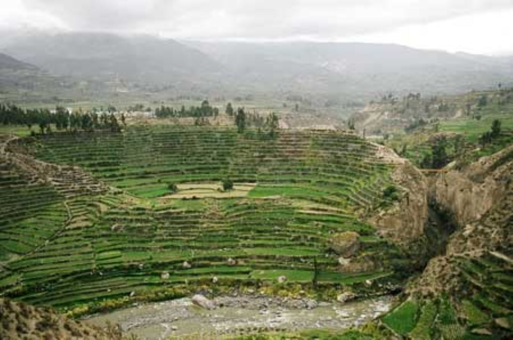Andenes del valle del Colca, en la provincia de Caylloma (Arequipa). Foto: Autocolca.