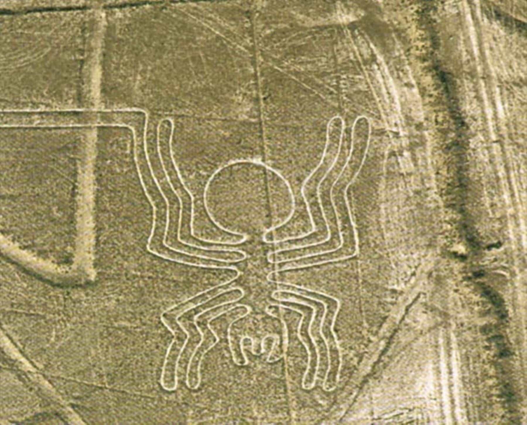 La araña, una de las famosas Líneas de Nasca, en Ica.