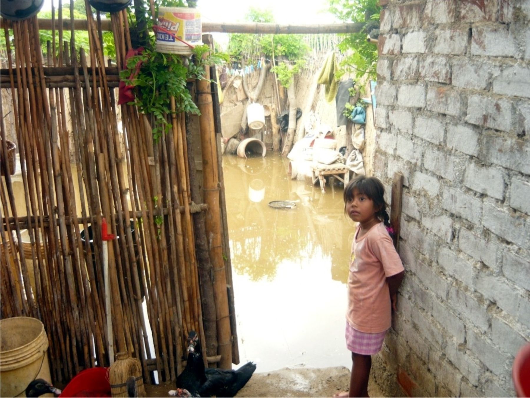 Peru Culebras River overflows, affects 80 rustic homes News ANDINA