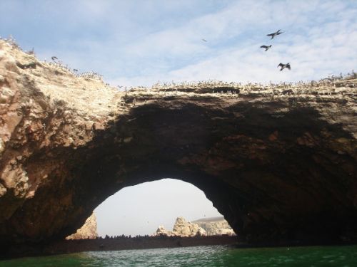 Islas Ballestas, en la provincia de Pisco, en Ica.