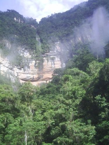 Reserva de biosfera Oxapampa-Asháninka-Yanesha. Foto: ANDINA/Minam.