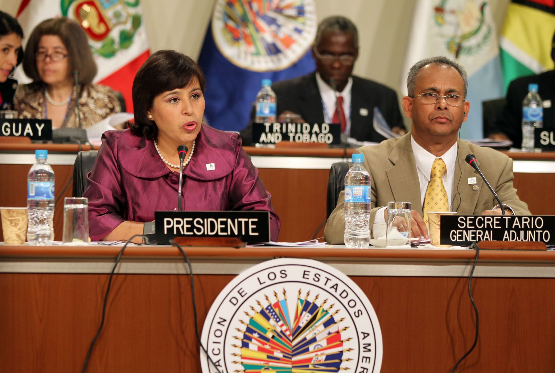 La Ministra de La Mujer, Nidia Vílchez participa en el diálogo de la sociedad civil en el marco de la 40 Asamblea General de la OEA.
Foto: ANDINA/Carlos Lezama.