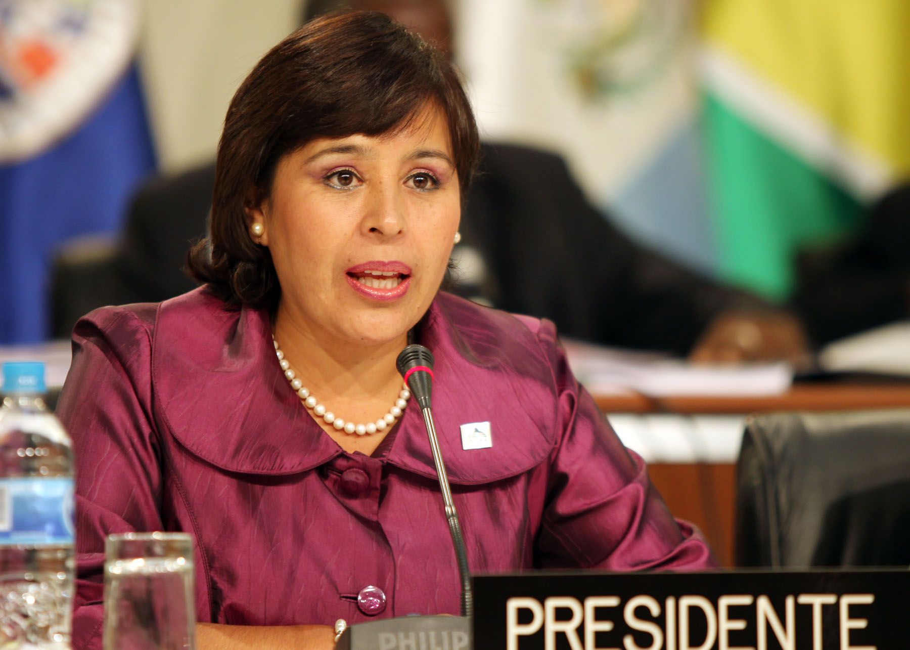 La Ministra de La Mujer, Nidia Vílchez, preside diálogo de Jefes de Delegación con representantes del Foro de Sociedad Civil, en el marco de la 40 Asamblea General de la OEA.
Foto: ANDINA/Carlos Lezama