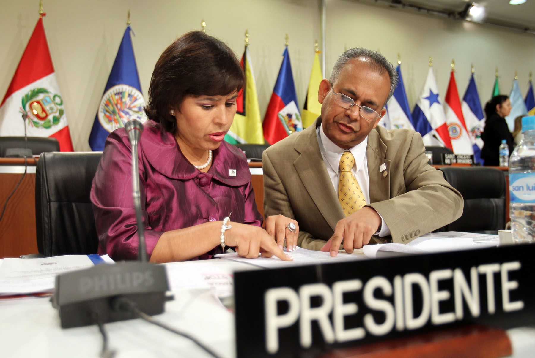 La Ministra de La Mujer, Nidia Vílchez, preside diálogo de Jefes de Delegación con representantes del Foro de Sociedad Civil, en el marco de la 40 Asamblea General de la OEA.
Foto: ANDINA/Carlos Lezama