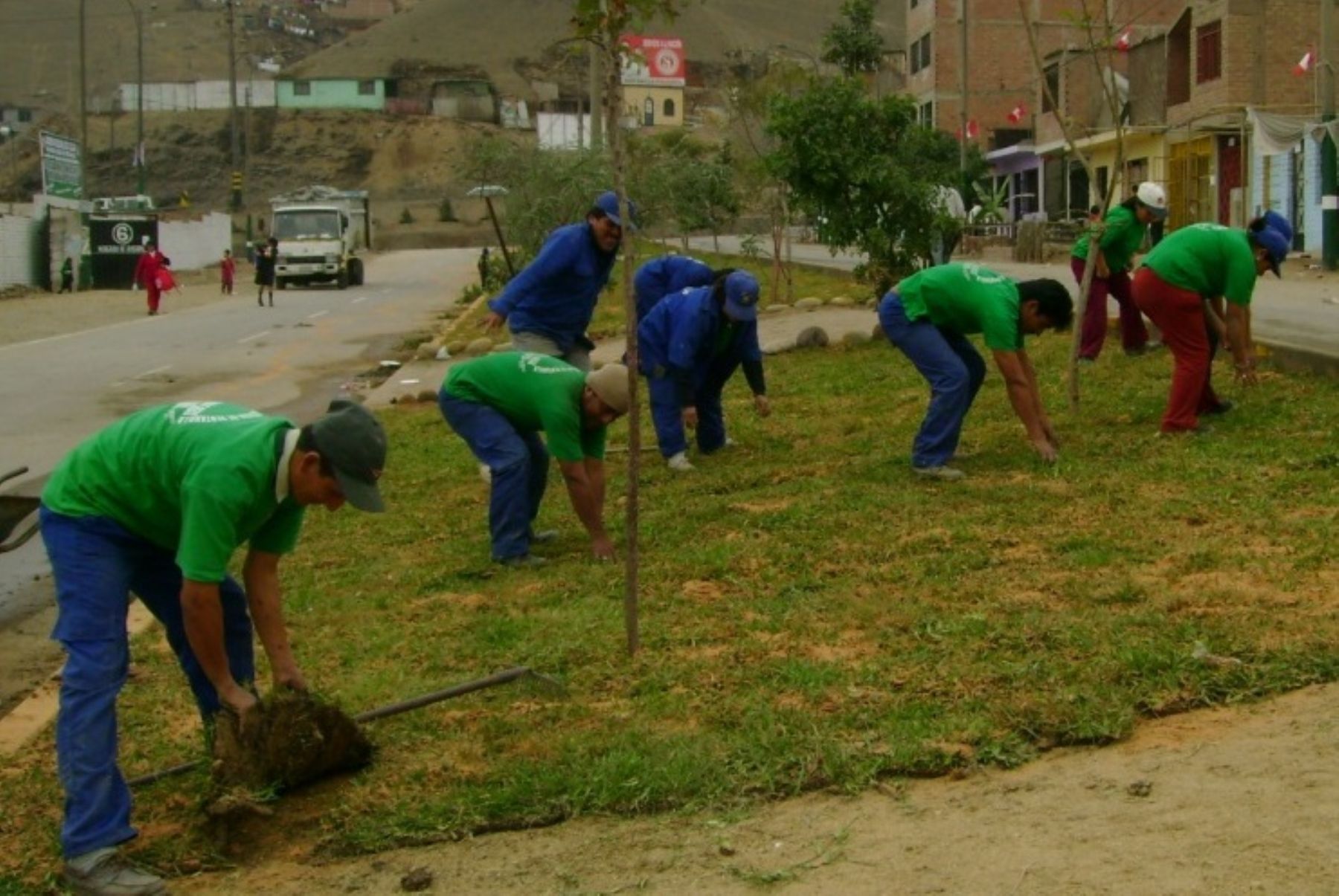 ANDINA/Difusión