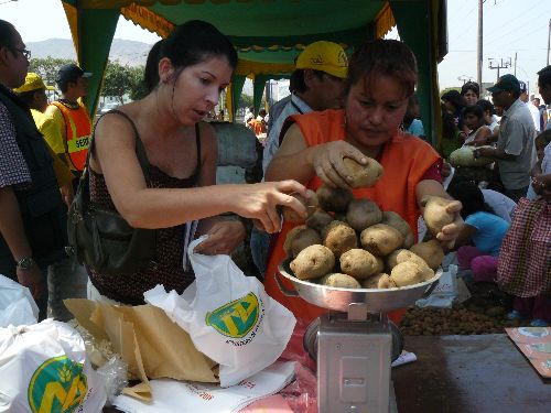 Al menos 500 toneladas de productos agropecuarios se expenderán hoy en la ciudad de Arequipa en la Primera Feria de la Chacra a la Olla, actividad que congregará mañana a productores de las ocho provincias de la región que ofrecerán lo mejor de su sector. ANDINA/Difusión