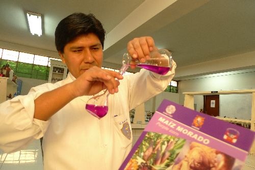 Doctor Mario Carhuapoma analiza propiedades antioxidantes del pigmento del maíz morado. Foto: ANDINA/Josimar Cóndor.