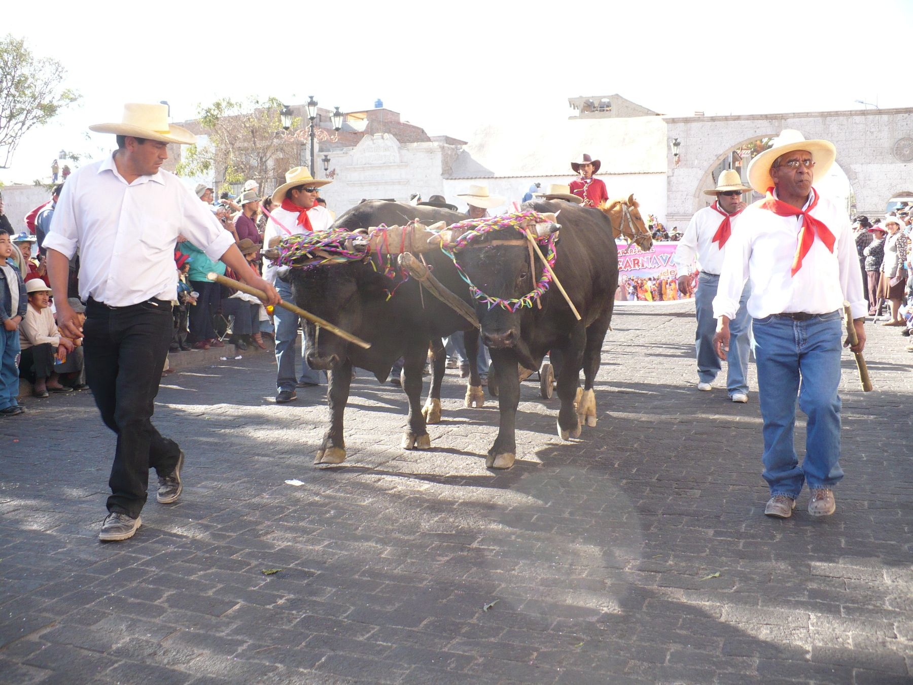 Arequipa festeja su 470° aniversario de fundación española. Foto: Andina/Rocío Mendez.