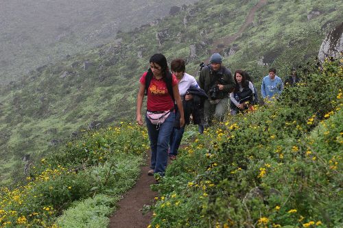 Las Lomas de Lúcumo, ubicadas en el valle de Pachacamac, a pocas horas de la ciudad de Lima, son un excelente destino para visitar en este fin de semana largo por la festividad de Santa Rosa de Lima.  ANDINA/archivo