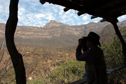 Reserva ecológica de Chaparrí, ubicada en Lambayeque. Foto: ANDINA / Archivo.