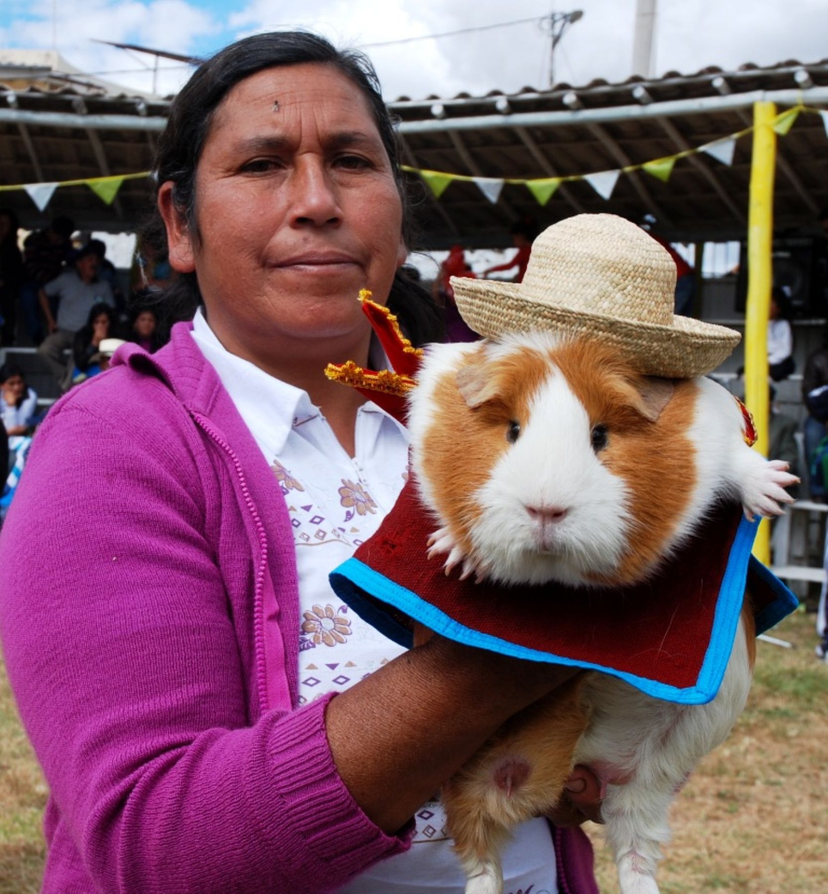 En el distrito de Jesús, en Cajamarca, elegirán mañana al cuy más elegante con traje típico. Foto: ANDINA / Eduard Lozano.