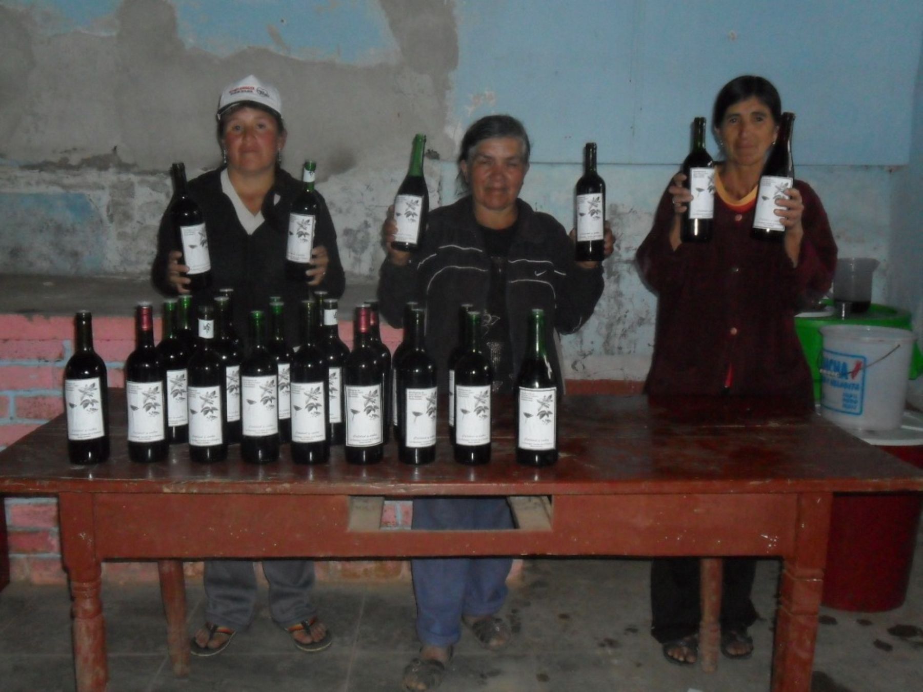 Beneficiarias de Juntos muestran producción de vino de saúco. Foto: Programa Juntos.