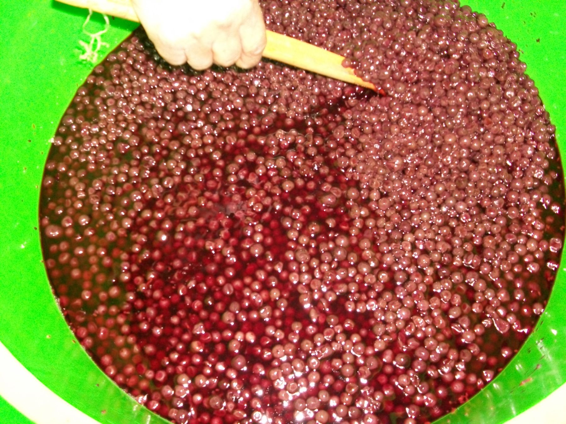 Preparación de vino de saúco. Foto: Programa Juntos.