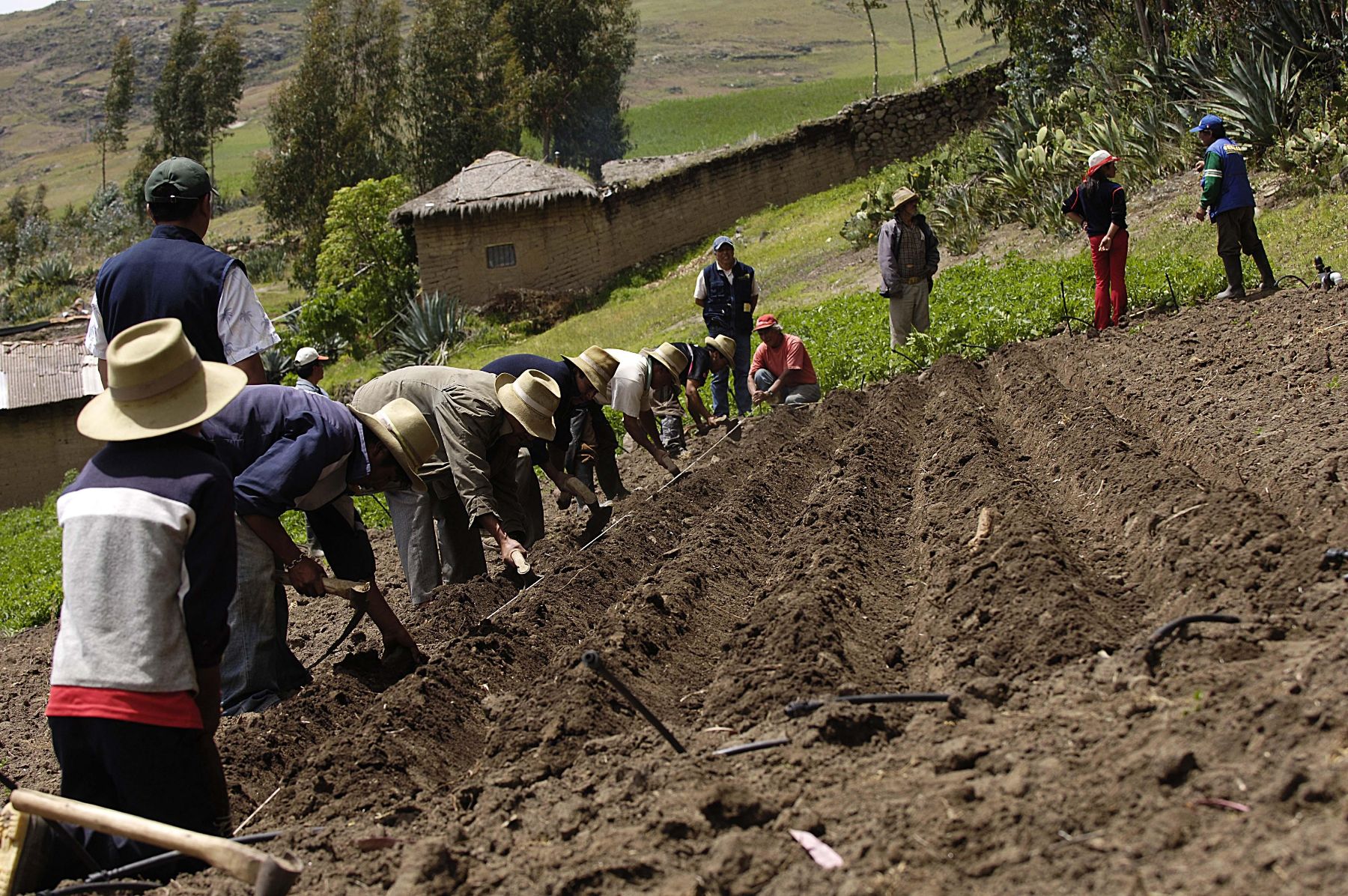 Agricultores.