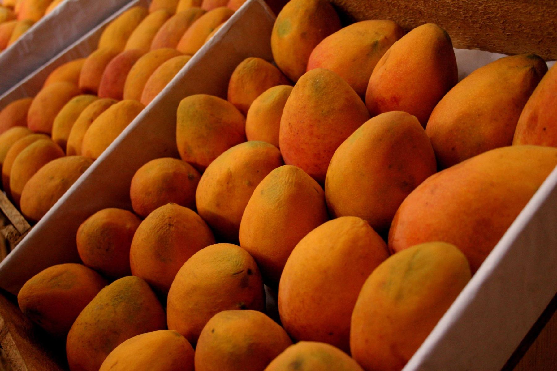 Mango production may break record in 2010. Photo: Internet