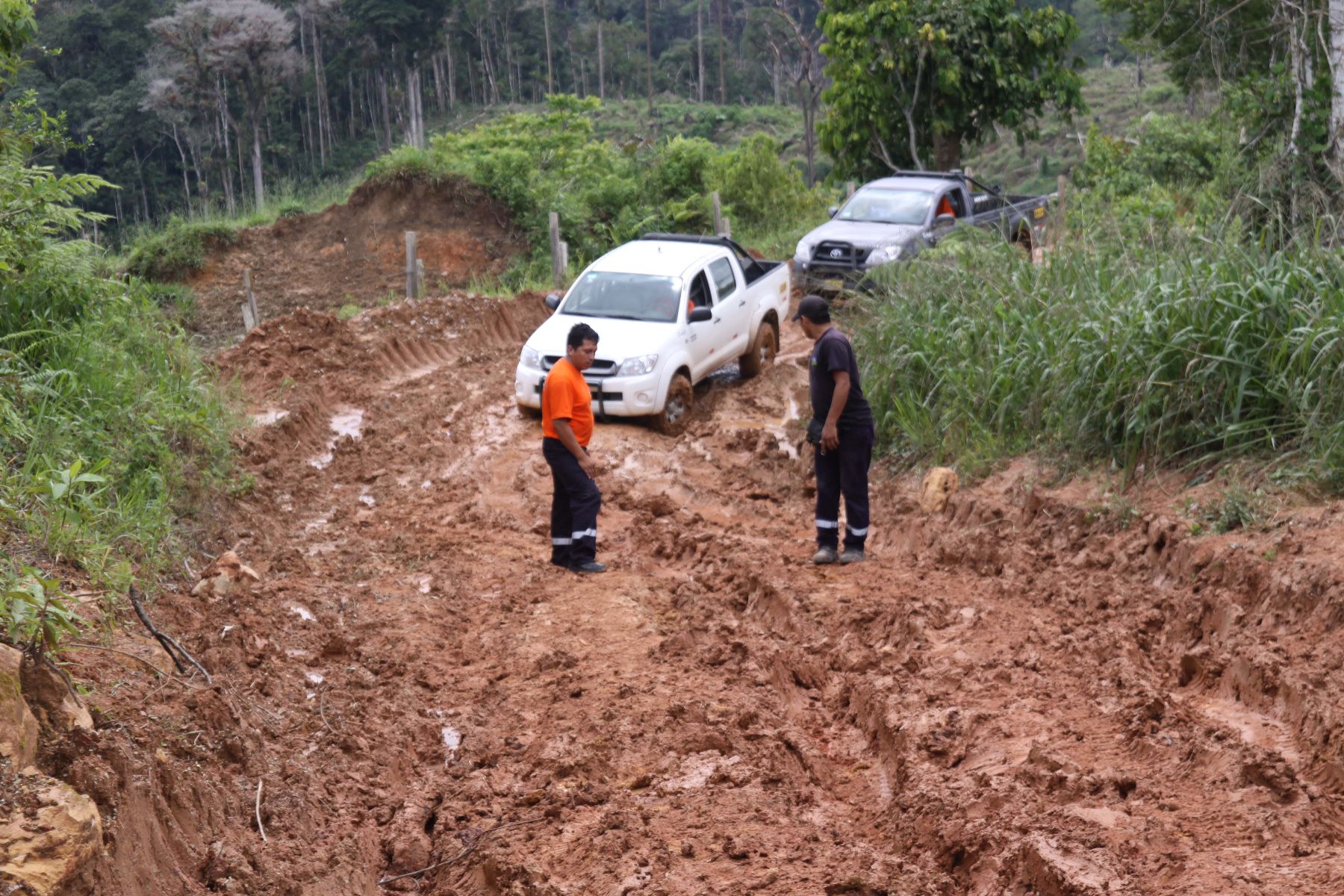 Deslizamientos limitan tránsito por carretera Puerto Ocopa Atalaya en