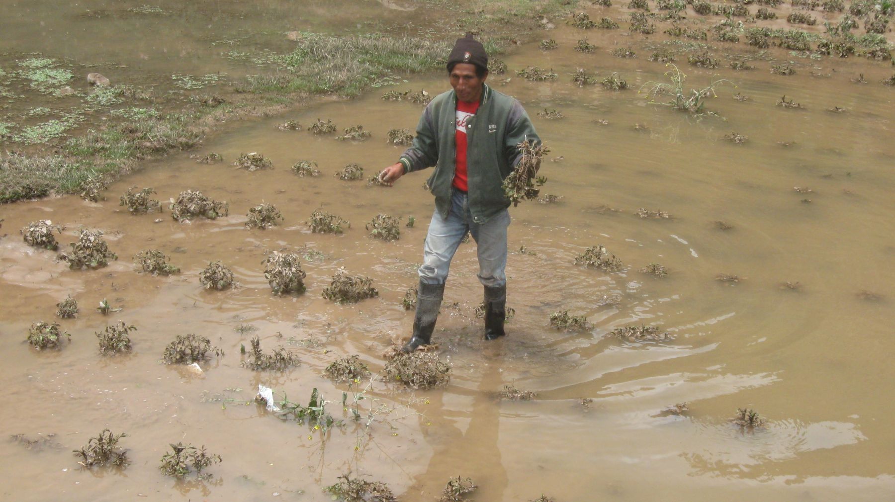 Las intensas lluvias registradas en las provincias de Cajabamba y San Marcos, en la región Cajamarca, afectaron viviendas y destruyeron áreas de cultivo y cobertura natural, informó el Instituto Nacional de Defensa Civil (Indeci).ANDINA/Pedro Tinoco