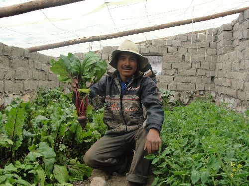 Minagri mejora producción agrícola en Oyolo con instalación de fitotoldos. ANDINA/Difusión