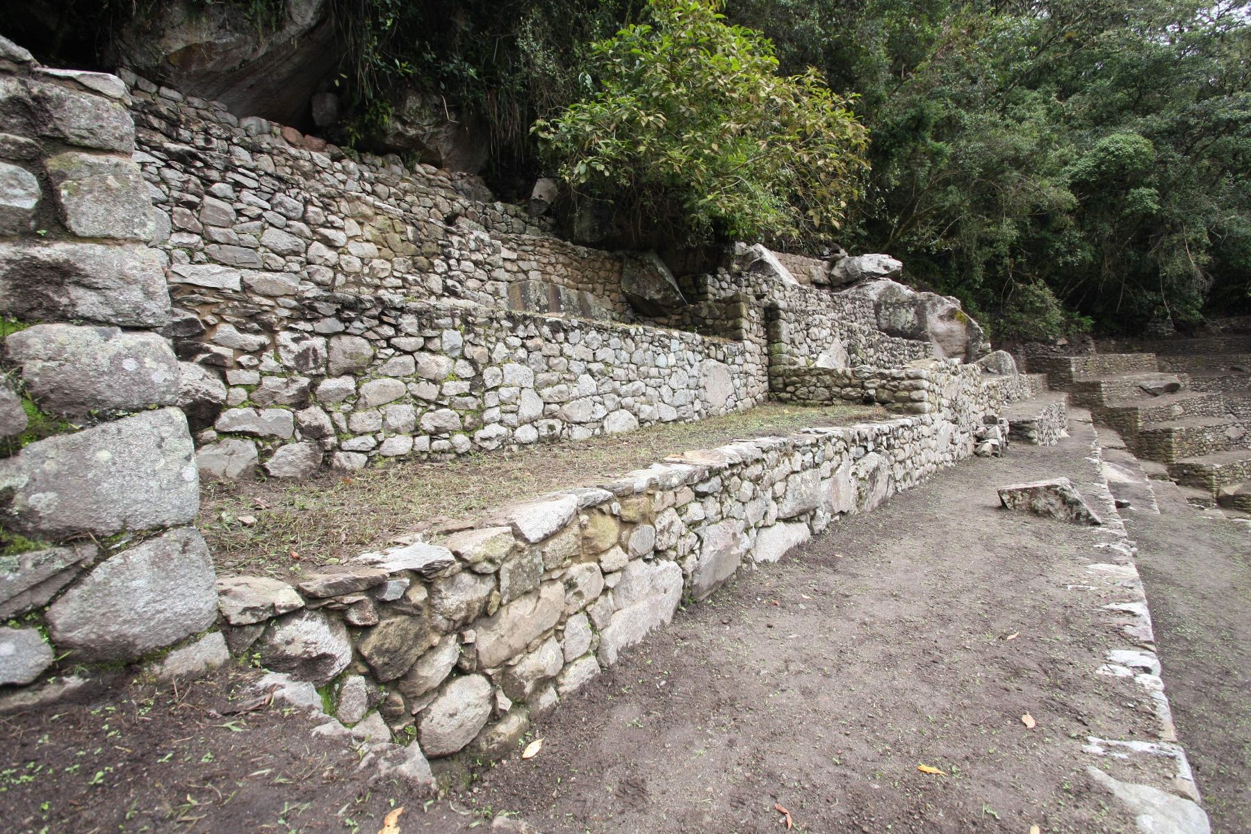 Andenes restaurados en Machu Picchu. Foto: ANDINA/Percy Hurtado.