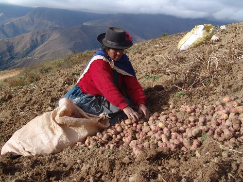 Pequeña productora agropecuaria. ANDINA/Difusión