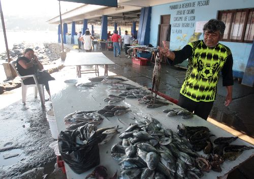 Venta de pulpo en muele de pescadores en Chorrillos. Foto: ANDINA/archivo.