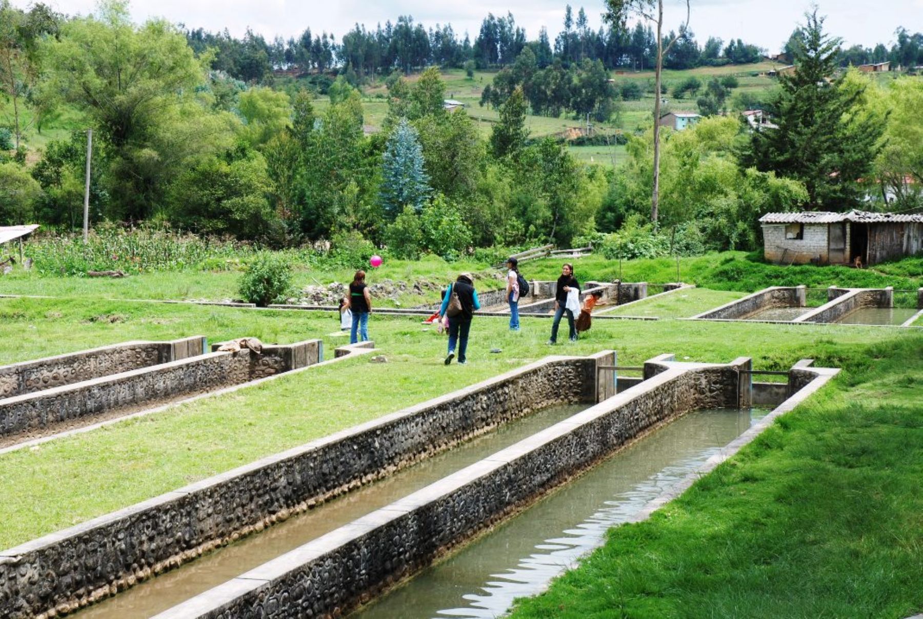 Piscigranja de truchas ubicada en el distrito de Namora, en Cajamarca. Foto: ANDINA / Eduard Lozano.