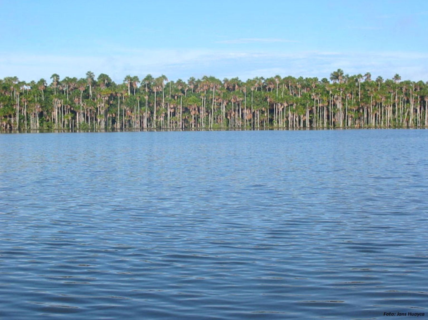 Lago Sandoval en reserva de Tambopata.
