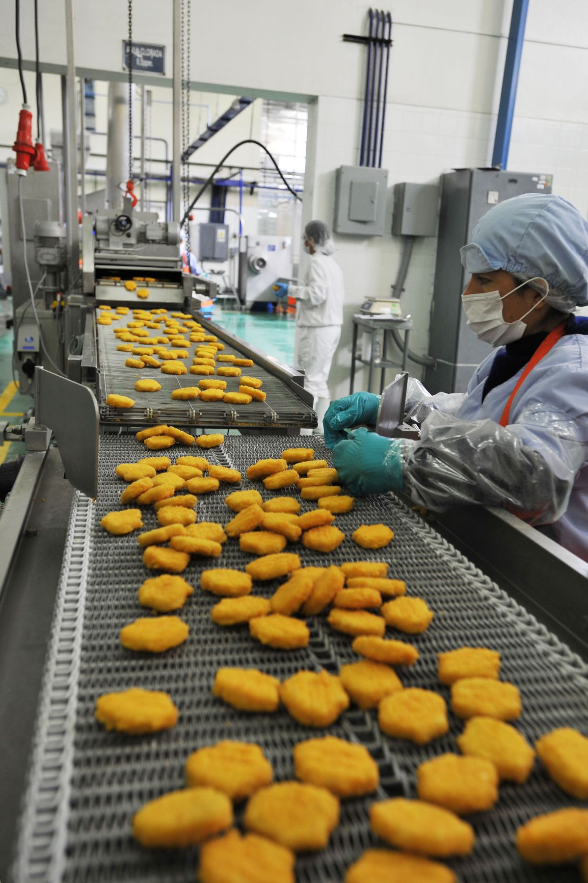 Producción de nuggets de pota. Foto: ANDINA/Oscar Durand