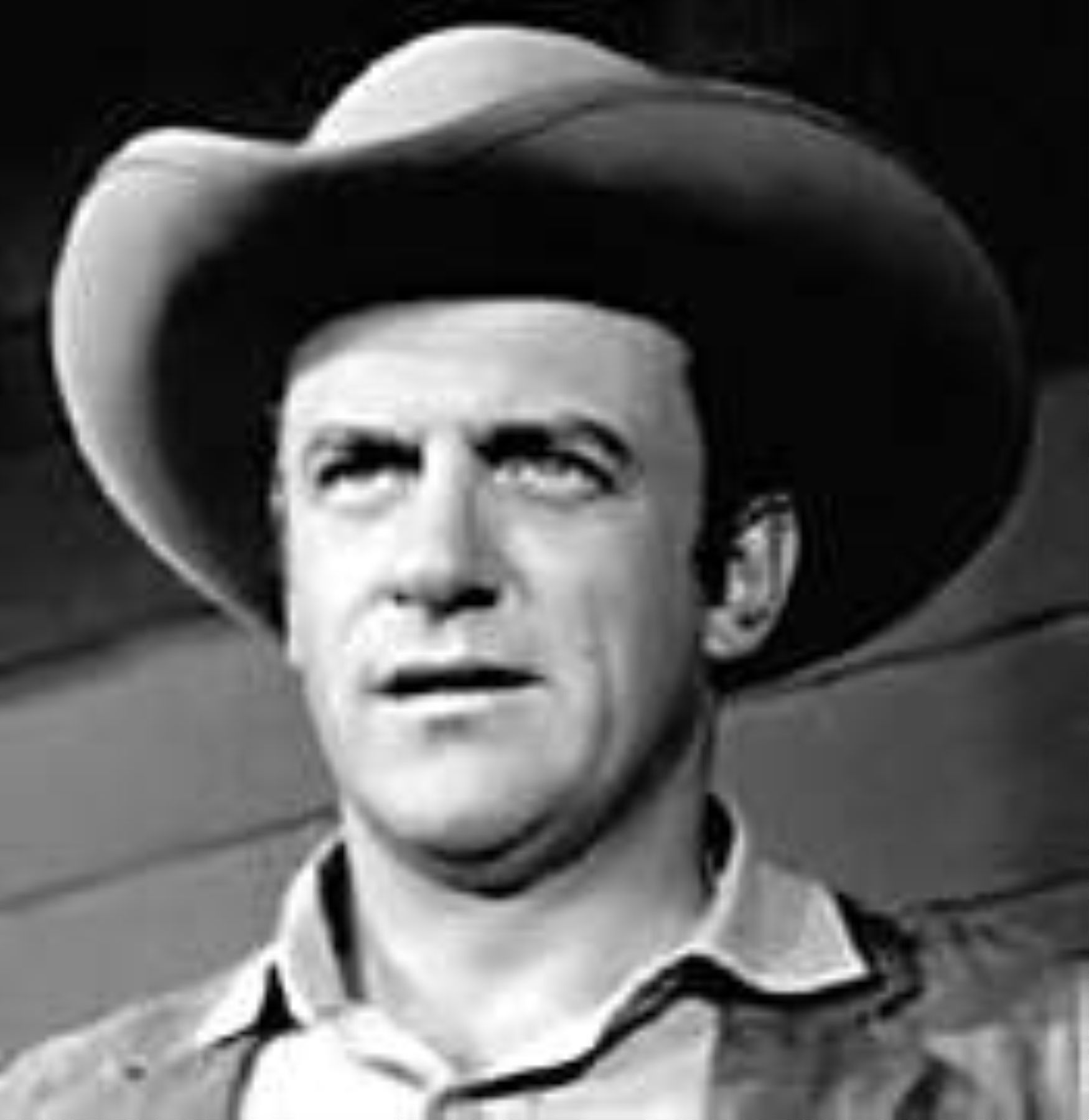 Who Did James Arness Hate On Gunsmoke 31 - n3lolol