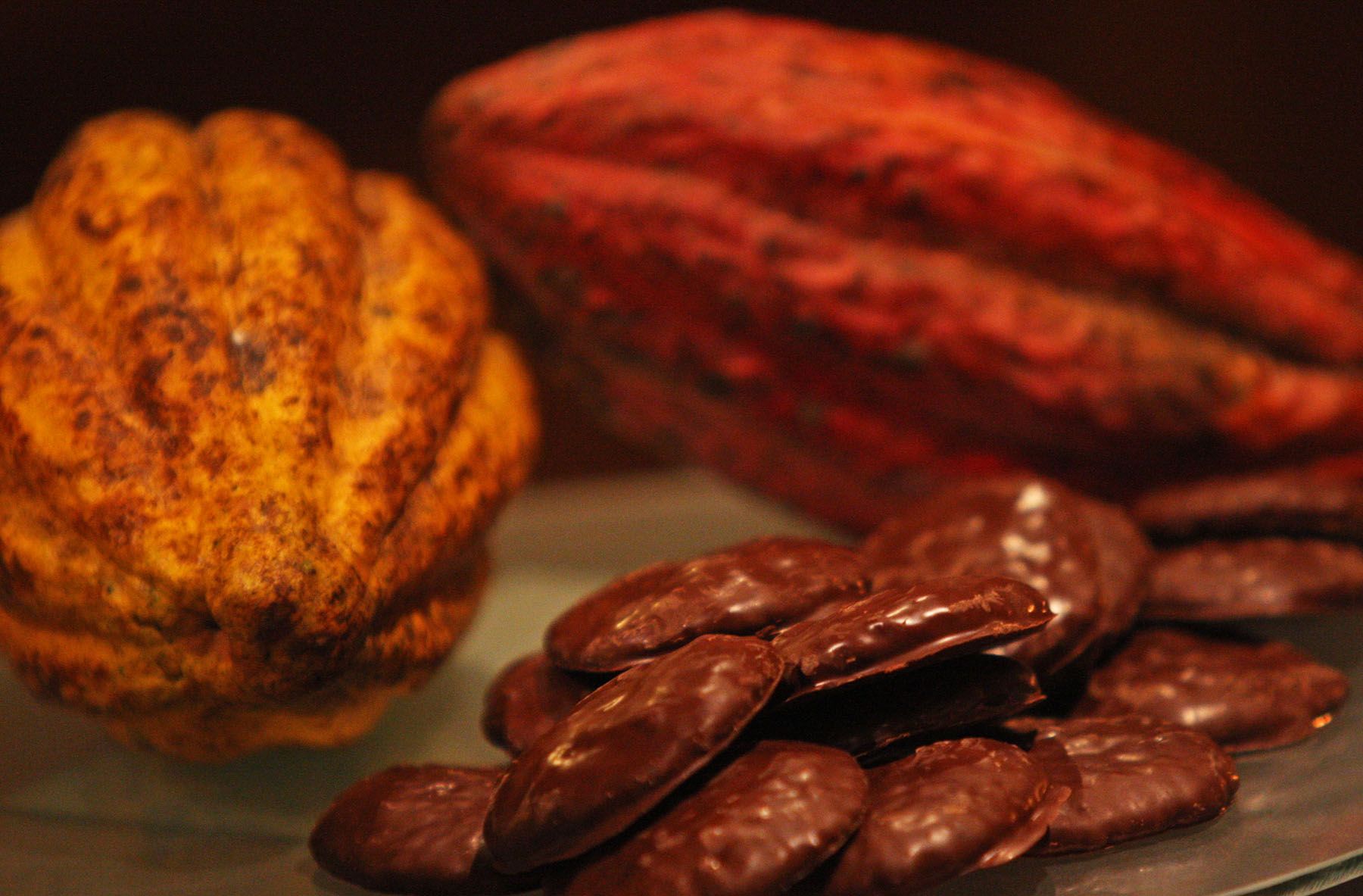 Anuncian el segundo Salón del Cacao y Chocolate, que se realizará entre el 7 y 10 de julio próximo, el hotel Sheraton en Lima. 
Foto: ANDINA/Gustavo Sánchez