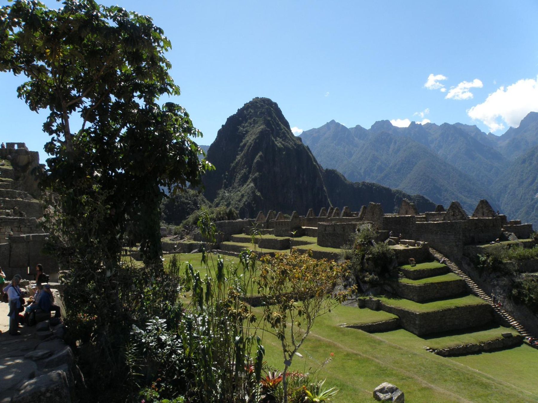 Cuidadela de Machu Picchu.Foto: ANDINA / Archivo/ Percy Hurtado.