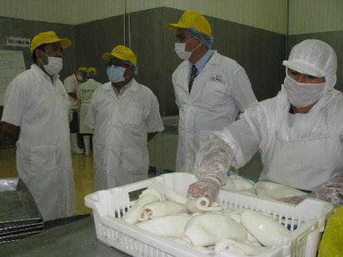 Foto: ANDINA/Difusión.