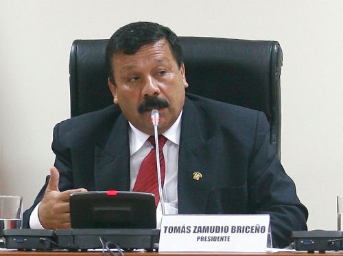 Foto: ANDINA/Archivo.