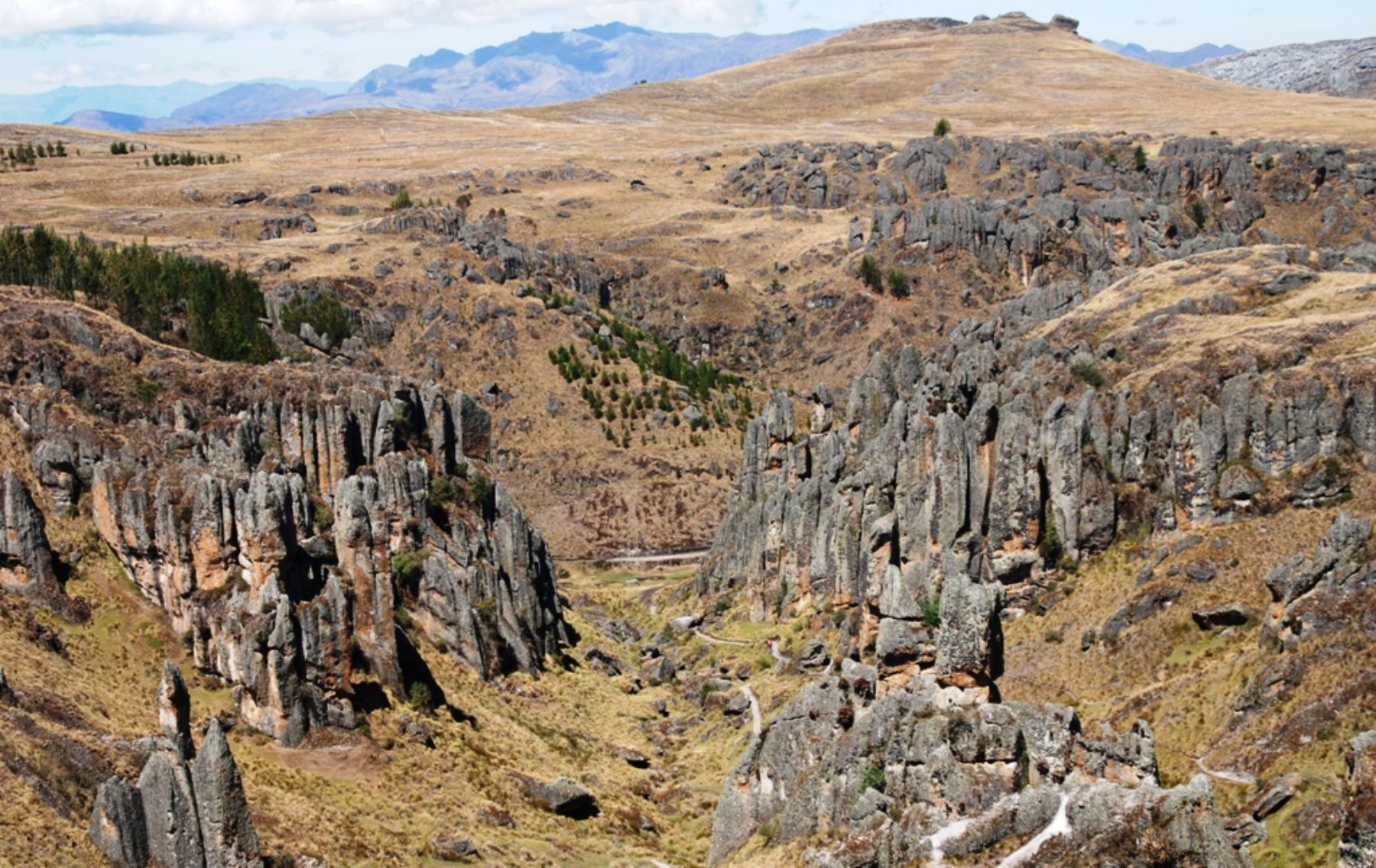 Bosque de piedras de Cumbe Mayo, en Cajamarca. Foto: ANDINA/Eduard Lozano.