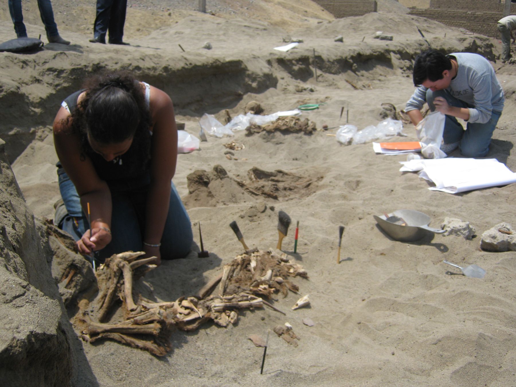 Estudios de antropólogos en zona de hallazgo en La Libertad. Foto: ANDINA/Oscar Paz.