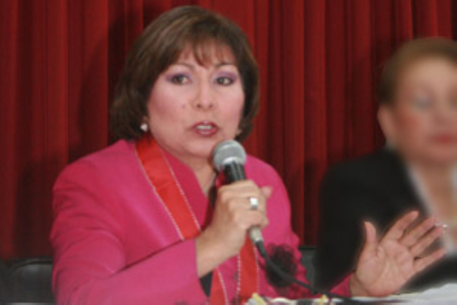 CNM respalda candidatura de Luz Ibáñez a fiscal de la Corte Penal