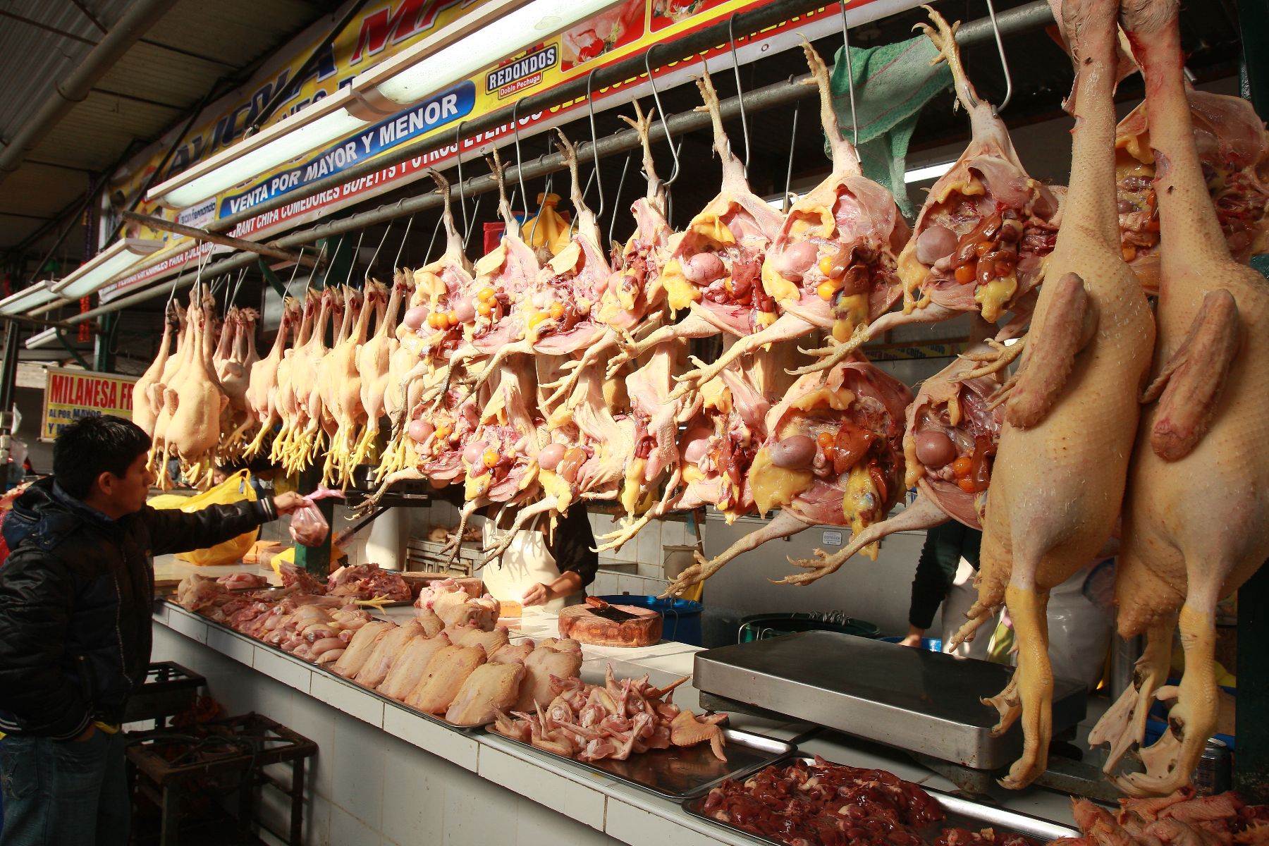 Precio del pollo bajó S/. 0.24 y se vende en S/. 7.95 al público | Noticias  | Agencia Peruana de Noticias Andina