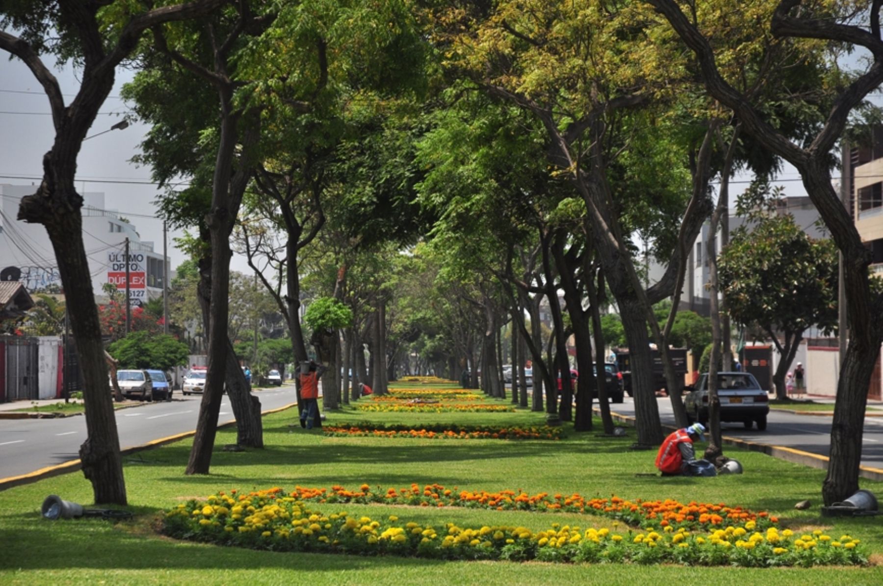 Surco lanza concurso de parques.