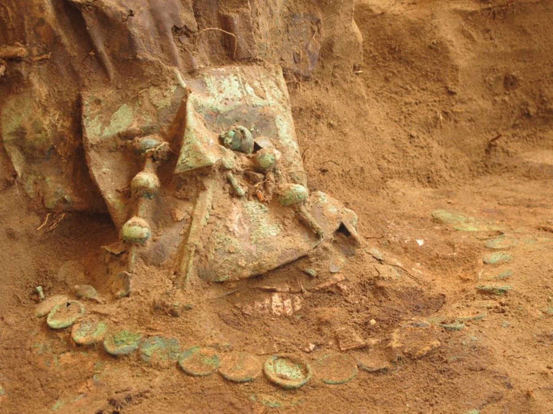 Pectoral con cascabeles de cobre hallado en tumba de personaje de élite en la huaca Chotuna-Chornancap, en Lambayeque.