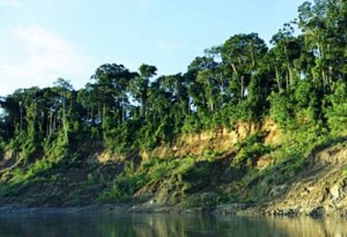 Gobierno fortalece protección de áreas naturales y pueblos indígenas frente a obras viales. INTERNET/Medios