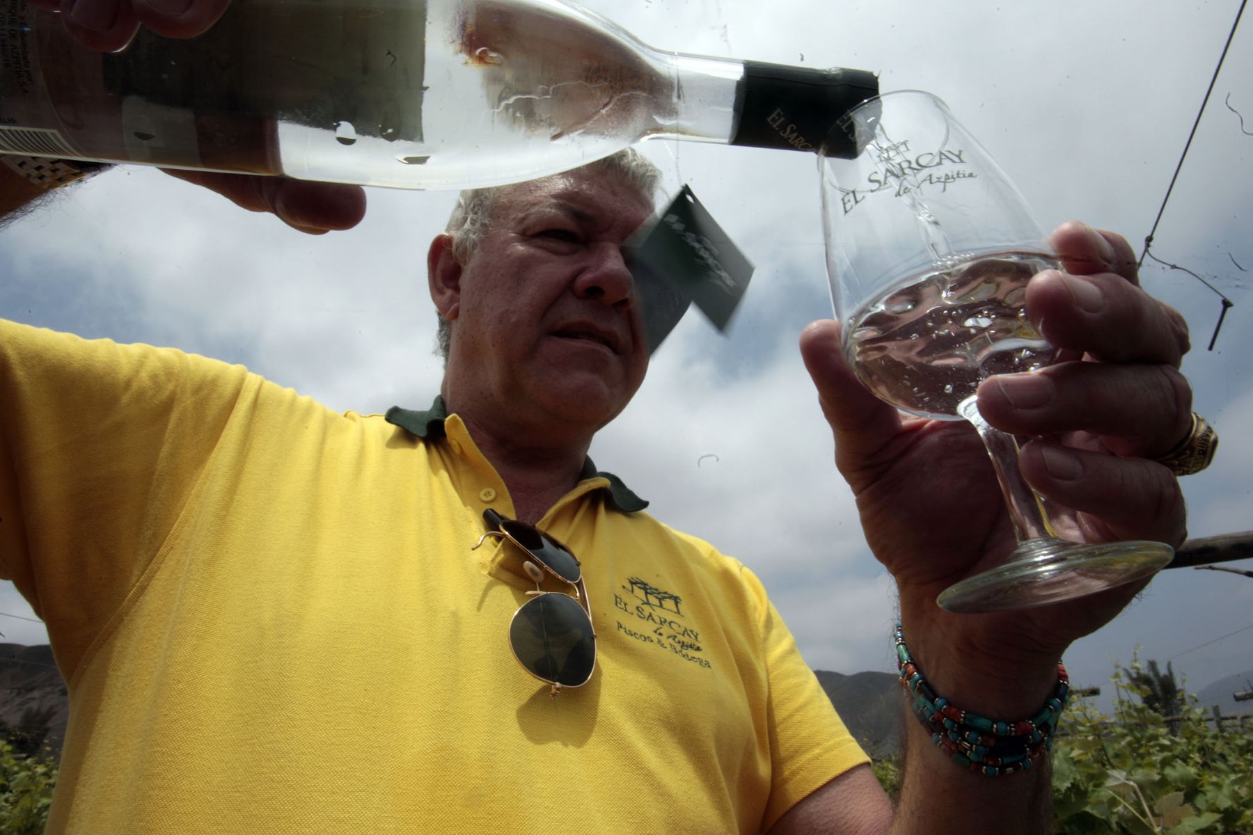 Moquegua es una región privilegiada para la elaboración de excelentes piscos. ANDINA/Jack Ramón